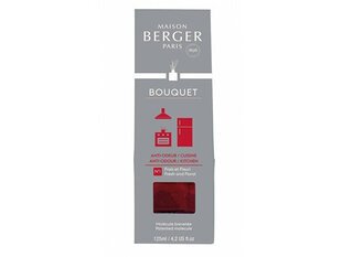 Pulkadega kodulõhn Maison Berger Paris Reed Diffuser Cube, 125ml hind ja info | Maison Berger Paris Parfüümid, lõhnad ja kosmeetika | hansapost.ee