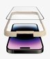 PanzerGlass iPhone 14 Pro Max hind ja info | Ekraani kaitseklaasid ja kaitsekiled | hansapost.ee