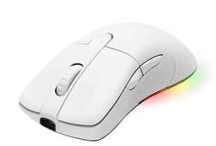 Мышь Deltaco Gaming RGB, 16 000 DPI, 2.4 GHz USB, USB-C зарядка, белая, GAM-107-W цена и информация | Компьютерные мыши | hansapost.ee