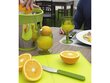 ViceVersa Tix Citrus Juicer green 16612 цена и информация | Mahlapressid | hansapost.ee