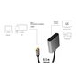USB-C to DP/F adapter, 4K/60Hz, alu, 0.15m hind ja info | USB adapterid ja jagajad | hansapost.ee