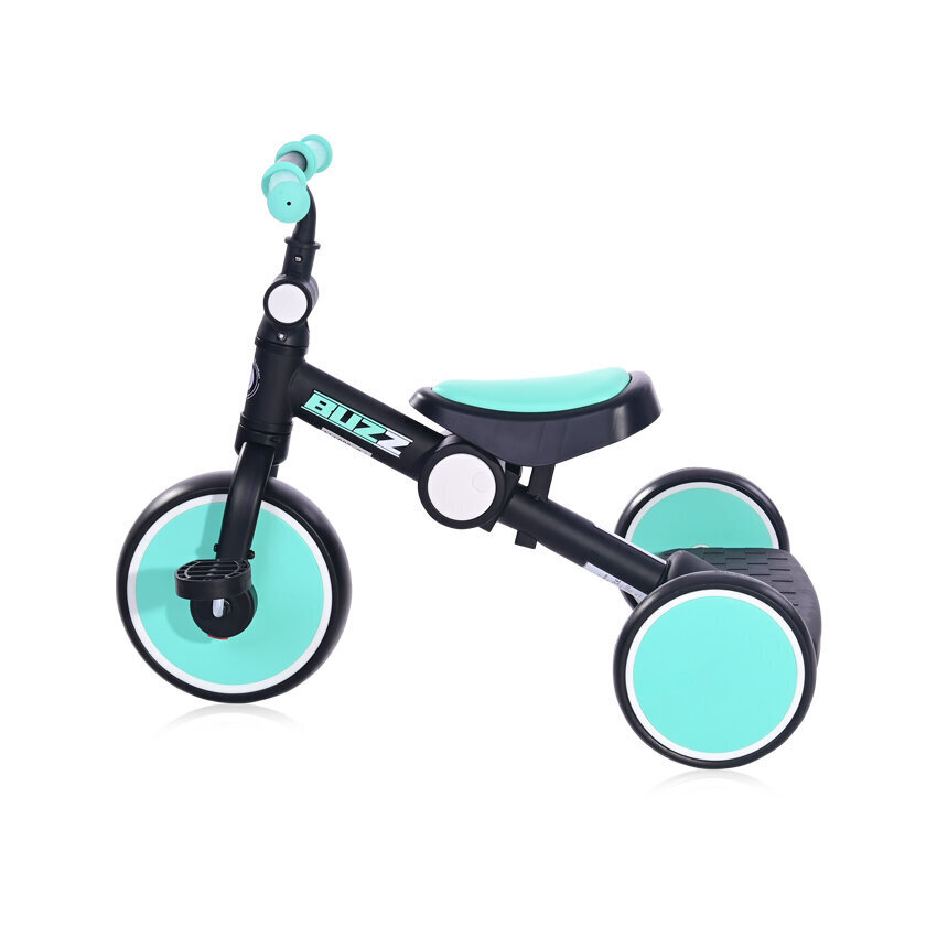 Kolmerattaline jalgratas Lorelli Buzz Foldable, Black&Turquoise hind ja info | Kolmerattalised jalgrattad lastele | hansapost.ee