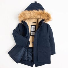 Cool Club куртка для мальчиков, COB2511487 цена и информация | Зимняя одежда для детей | hansapost.ee