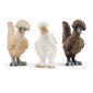 Kujud Sõbrad kanad Farm World Schleich цена и информация | Mänguasjad poistele | hansapost.ee