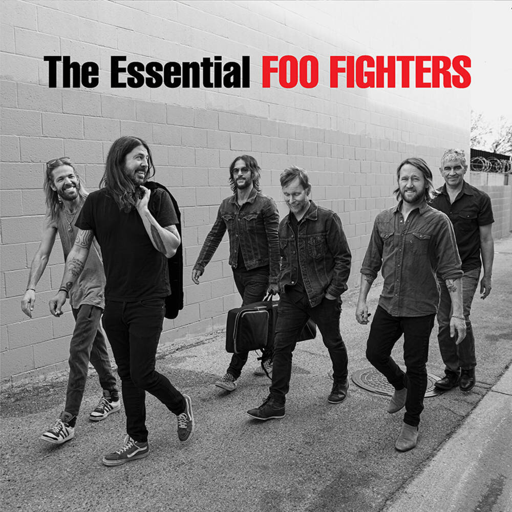 Vinüülplaat (LP) FOO FIGHTERS "The Essential" (2LP) цена и информация | Vinüülplaadid, CD, DVD | hansapost.ee