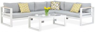 Комплект уличной мебели Focus Garden Panama, серый/белый цена и информация | Комплекты уличной мебели | hansapost.ee