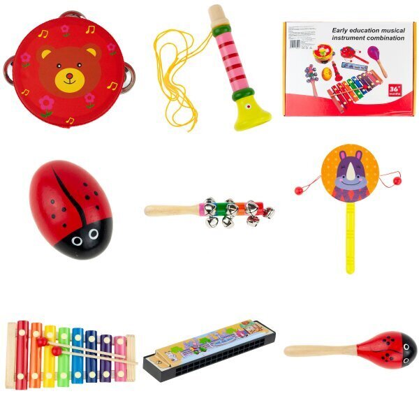 Puidust muusikariistade komplekt lastele, 8 o. hind ja info | Arendavad laste mänguasjad | hansapost.ee