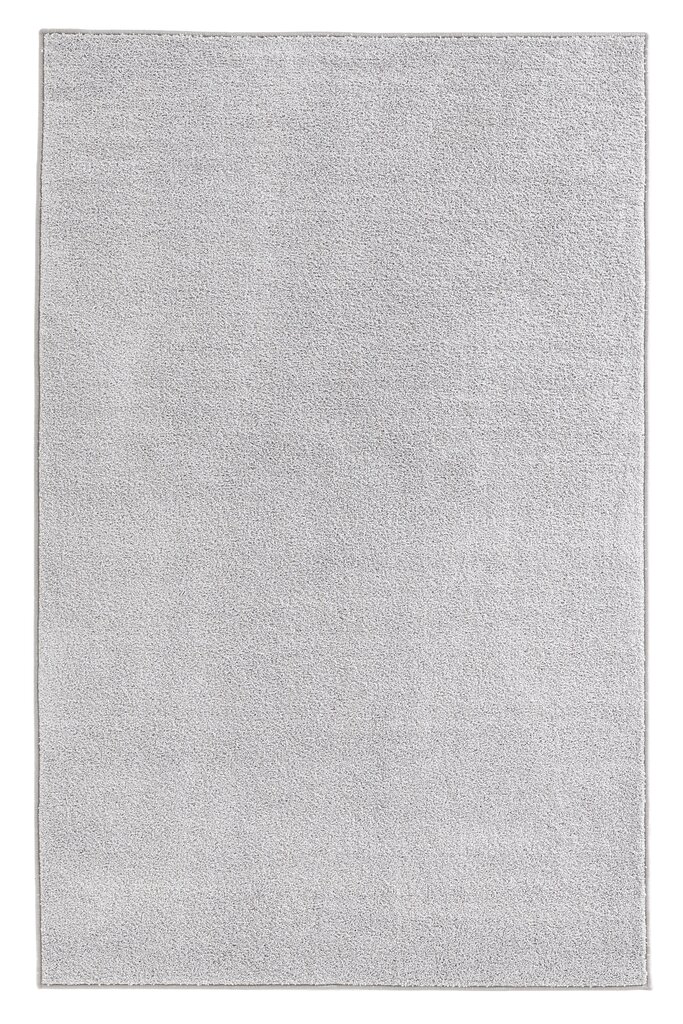 Hanse Home vaip Pure Grey, 200x300 cm hind ja info | Vaibad | hansapost.ee