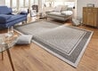 Hanse Home vaip Classy Grey, 200x290 cm hind ja info | Vaibad | hansapost.ee