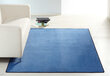 Hanse Home vaip Nasty Blue, 160x240 cm цена и информация | Vaibad | hansapost.ee