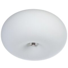 Лампа OPTICA цена и информация | Потолочные светильники | hansapost.ee