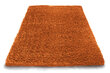 Vaip Shaggy Orange, 200x290 cm hind ja info | Vaibad | hansapost.ee