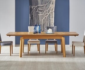 2-tooli komplekt Halmar Rois, pruun/hall hind ja info | Köögitoolid, söögitoolid | hansapost.ee