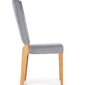 2-tooli komplekt Halmar Rois, pruun/hall цена и информация | Köögitoolid, söögitoolid | hansapost.ee