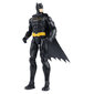 Kuju Batman (Batman) DC, 30 cm цена и информация | Mänguasjad poistele | hansapost.ee