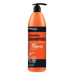 Juukseid sirgendav šampoon Chantal Prosalon, 1000 g hind ja info | Chantal Parfüümid, lõhnad ja kosmeetika | hansapost.ee