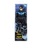 Kuju Nightwing Batman (Batman) DC, 30 cm цена и информация | Mänguasjad poistele | hansapost.ee