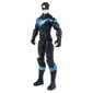 Kuju Nightwing Batman (Batman) DC, 30 cm hind ja info | Mänguasjad poistele | hansapost.ee