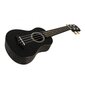 Soprani ukulele komplekt Arrow PB10, naturaalne värv hind ja info | Kitarrid | hansapost.ee