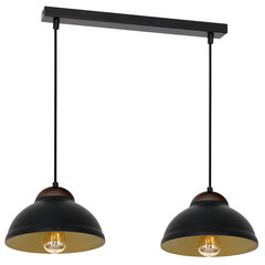 Luminex подвесной светильник Arne цена и информация | Потолочный светильник, 38 x 38 x 24 см | hansapost.ee