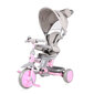 Kolmerattaline Lorelli Lucky Crew, Grey&Pink цена и информация | Kolmerattalised jalgrattad lastele | hansapost.ee