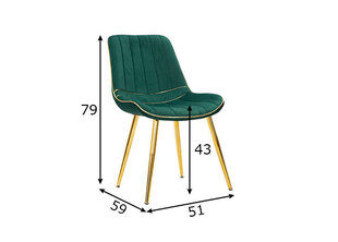 Набор из 2 обеденных стульев Glam, зеленый цвет цена и информация | Стулья для кухни и столовой | hansapost.ee