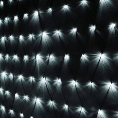 Kardin-võrk 160 LED, külm valge hind ja info | Jõulutuled | hansapost.ee