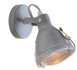 Candellux настенный светильник Crodo цена и информация | Настенный светильник Конусы | hansapost.ee