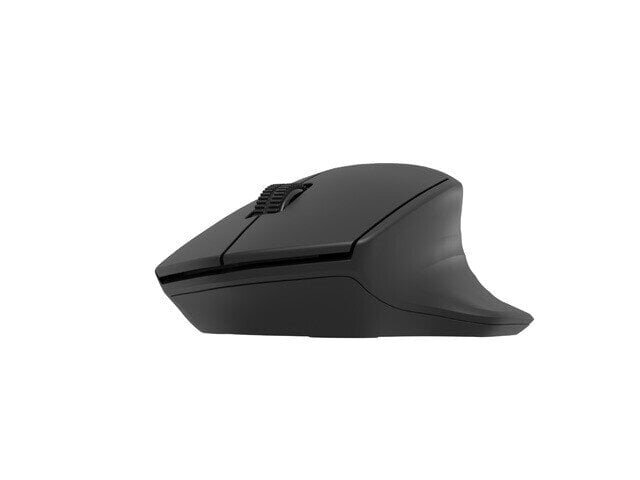 Natec Mouse Siskin 2 Wireless hind ja info | Arvutihiired | hansapost.ee