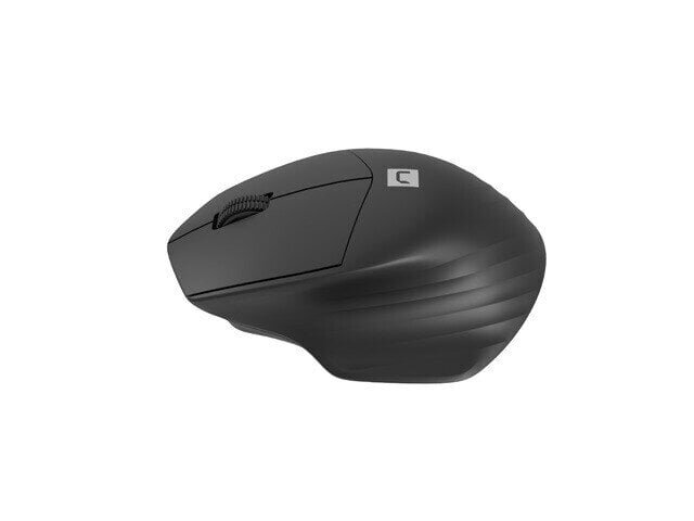 Natec Mouse Siskin 2 Wireless цена и информация | Arvutihiired | hansapost.ee