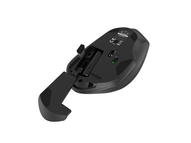 Natec Mouse Siskin 2 Wireless цена и информация | Arvutihiired | hansapost.ee