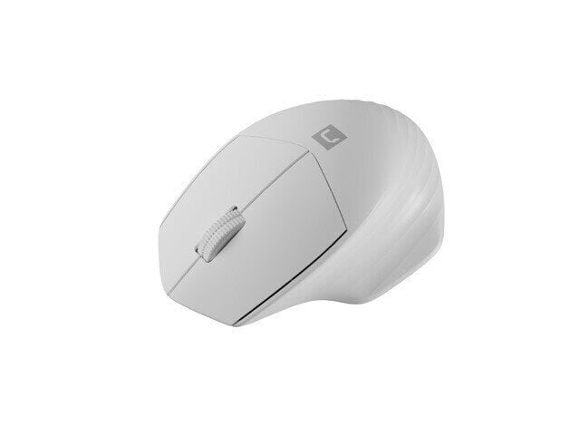 Natec Mouse Siskin 2 Wireless цена и информация | Arvutihiired | hansapost.ee