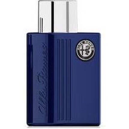 Parfüümvesi Alfa Romeo Blue EDT meestele, 100 ml hind ja info | Parfüümid meestele | hansapost.ee