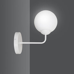 Emibig настенный светильник Pregos K1 White цена и информация | Настенный светильник Конусы | hansapost.ee