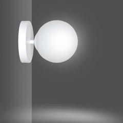 Emibig настенный светильник Bior K1 White цена и информация | Настенный светильник Конусы | hansapost.ee