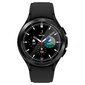 Spigen Galaxy Watch 4 Classic hind ja info | Nutikellade aksessuaarid ja tarvikud | hansapost.ee