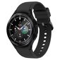 Spigen Galaxy Watch 4 Classic hind ja info | Nutikellade aksessuaarid ja tarvikud | hansapost.ee
