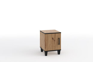 Прикроватная тумбочка ADRK Мебель POL14, коричневый цвет цена и информация | Ночные шкафы | hansapost.ee
