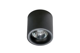 Потолочный светильник AZzardo Mane AZ4328 цена и информация | Потолочные светильники | hansapost.ee