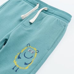 Спортивные штаны Cool Club для мальчиков, CCB2513430 цена и информация | Штаны для мальчиков | hansapost.ee