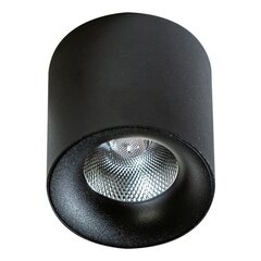 Потолочный светильник AZzardo Mane AZ4325 цена и информация | Потолочные светильники | hansapost.ee