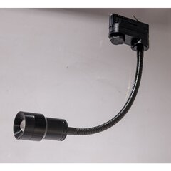 Встраиваемый в 3-фазные направляющие светильник AZzardo Lumi AZ4559 цена и информация | Трековые светильники и шинопроводы | hansapost.ee