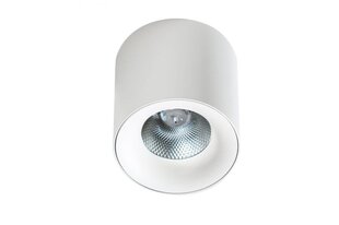 Потолочный светильник AZzardo Mane AZ4152 цена и информация | Потолочные светильники | hansapost.ee