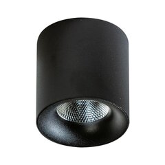 Потолочный светильник AZzardo Mane AZ4153 цена и информация | Потолочные светильники | hansapost.ee