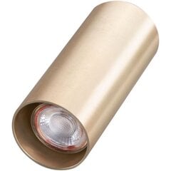 Настенный светильник AZzardo Velia AZ4397 цена и информация | Настенный светильник Конусы | hansapost.ee