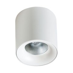 Потолочный светильник AZzardo Mane AZ4324 цена и информация | Потолочные светильники | hansapost.ee