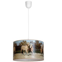 Подвесной светильник Milagro Horses цена и информация | Детские светильники | hansapost.ee