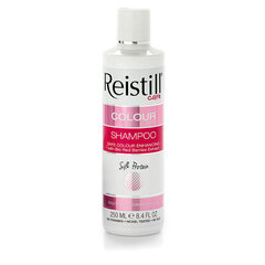 Šampoon värvitud juustele Reistill Colour Safe, 250 ml price and information | Shampoos | hansapost.ee