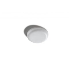 Встраиваемый светильник для ванной комнаты AZzardo Lamir AZ4385 цена и информация | Монтируемые светильники, светодиодные панели | hansapost.ee