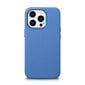 iCarer Litchi Leather iPhone 14 Pro Magnetic MagSafe Light Blue (WMI14220710-LB) hind ja info | Telefonide kaitsekaaned ja -ümbrised | hansapost.ee